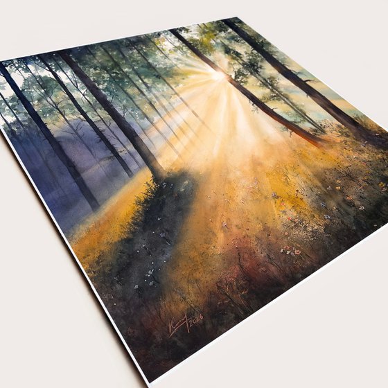 Whispers of Morning Light