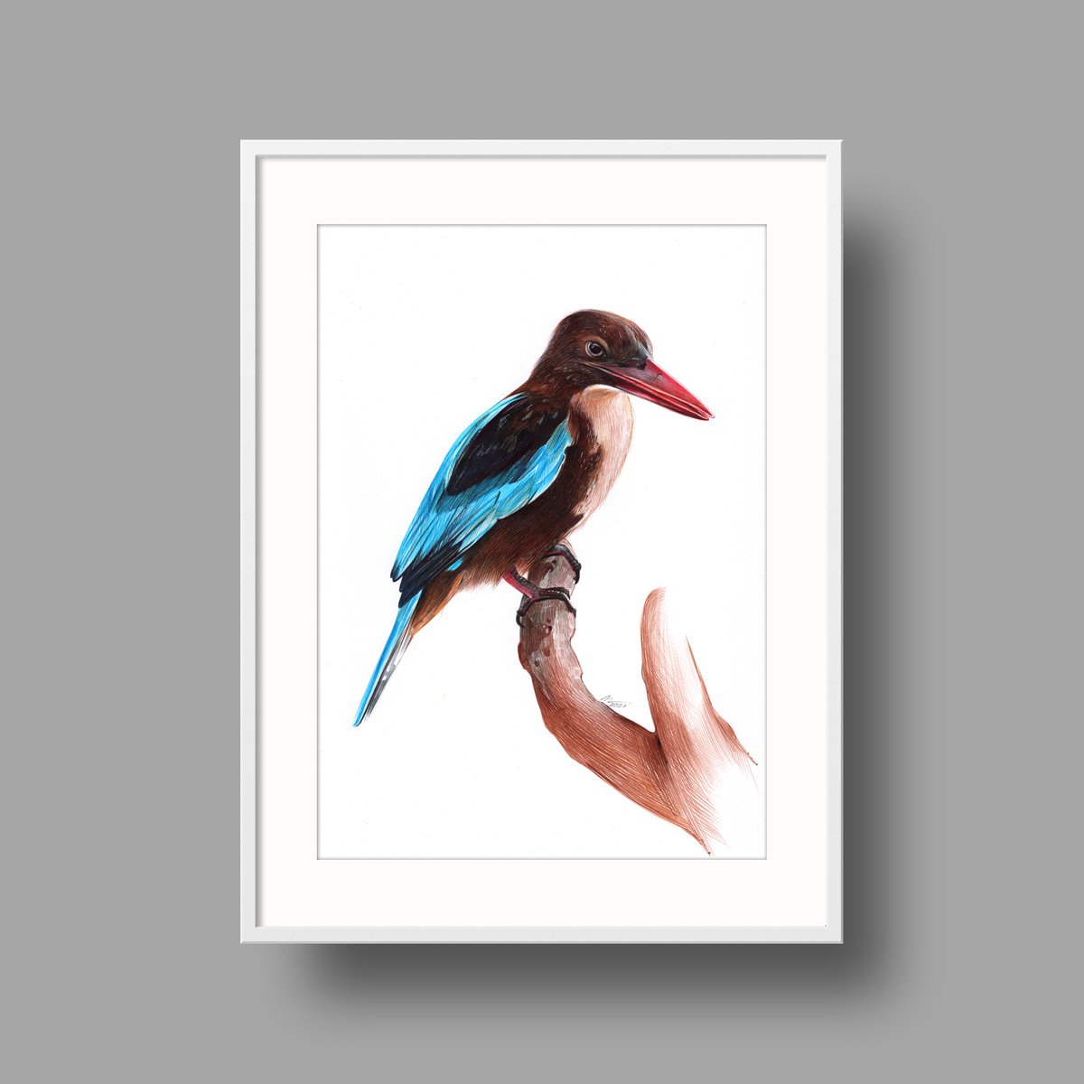 Photorealistic Animal Drawing By Daria Maier, 8 X 12, White-Throated Kingfisher, Original Artwork