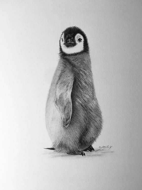 Penguin chick