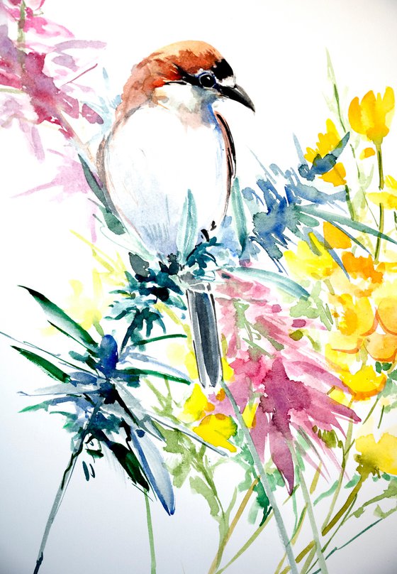 Woodchat Shrike Bird and Wild Flowers