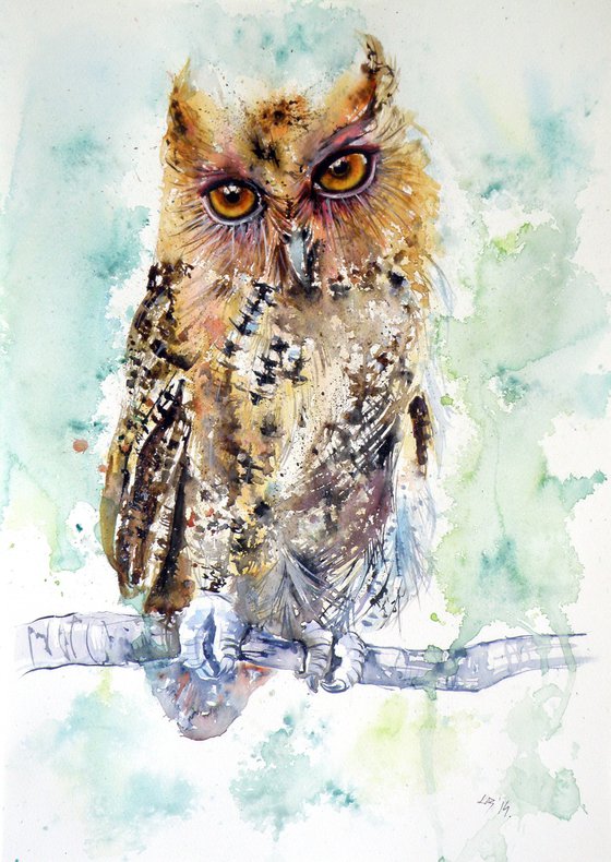 Owl