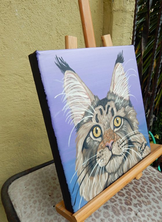 Maine Coon Cat Pet Original Art Painting-8 x 8 Inches Stretched Canvas-Carla Smale