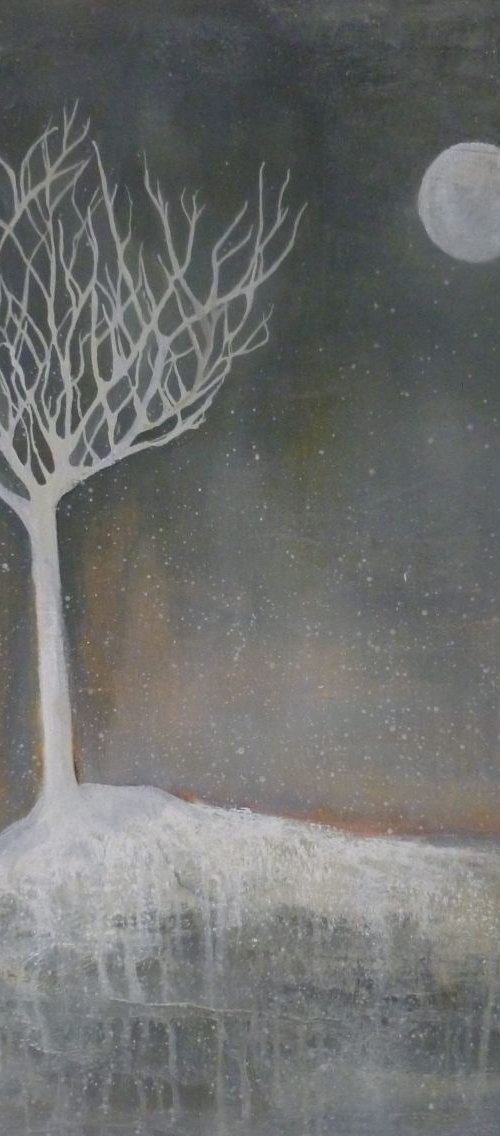 Winter Sleep by Fiona Philipps