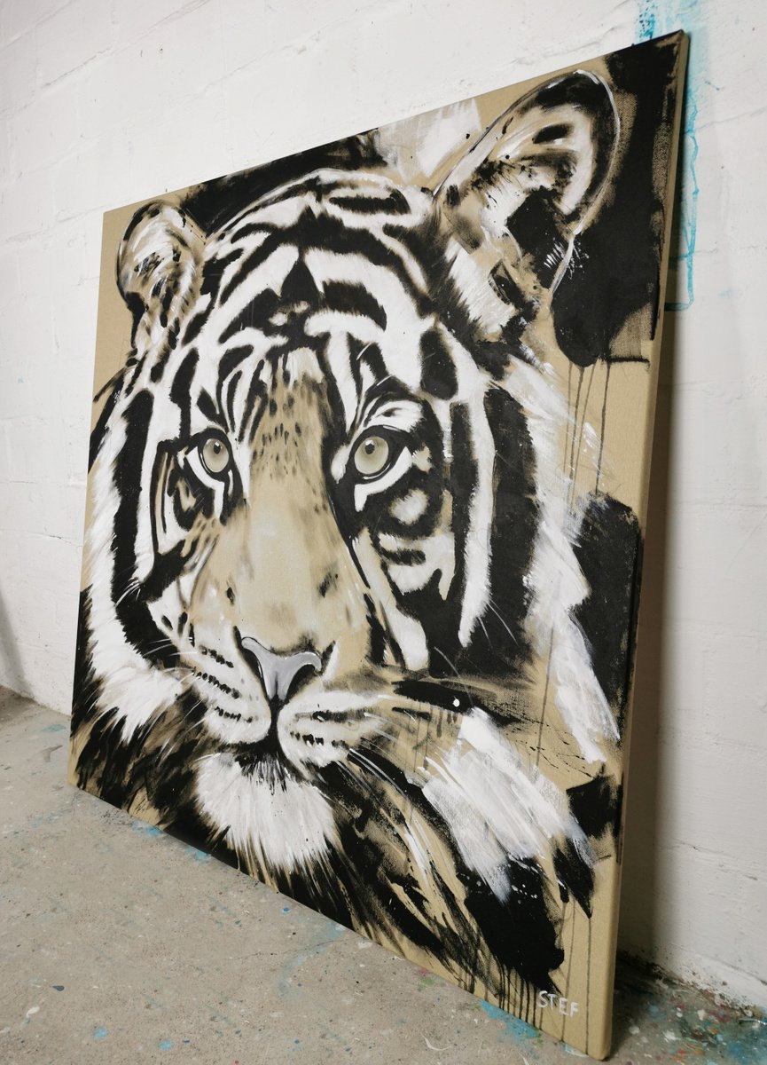 Big Cat - Tiger #5 By Stefanie Rogge, 39 X 39, Artwork For Sale On Artfinder