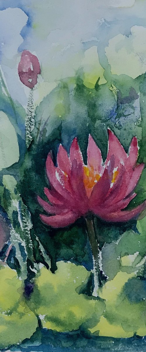 Monsoon Water Lily pond 1 by Asha Shenoy