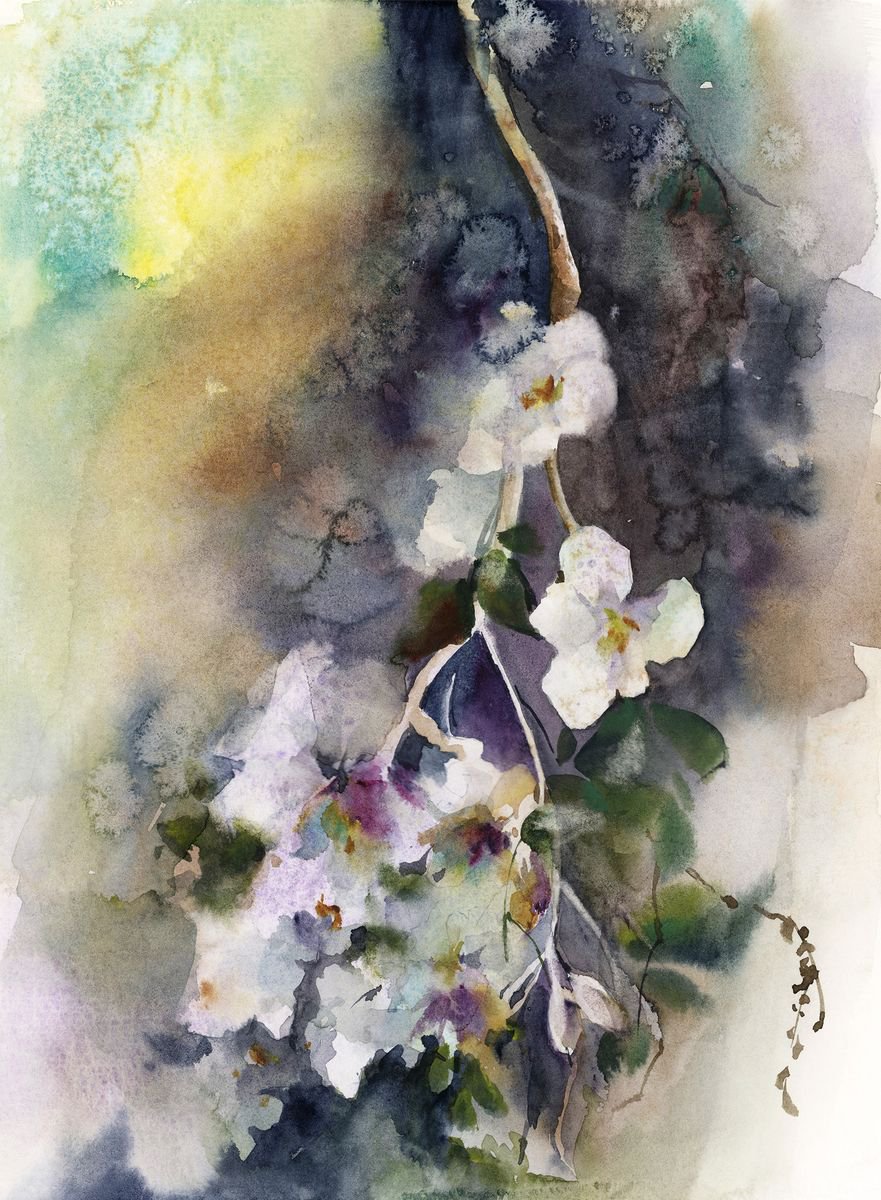 Blossoms by Sophie Rodionov