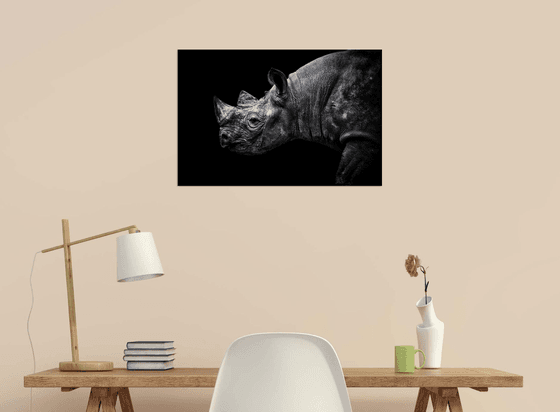 Rhino