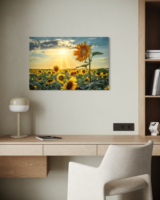 Golden Silence I – Standing in Light