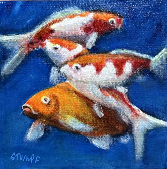 Koi - Swimming Treasure