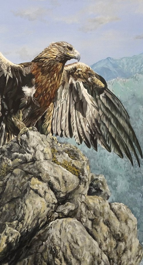 Royal Eagle by Julian Wheat