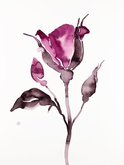 Rose Study No. 64 by Elizabeth Becker