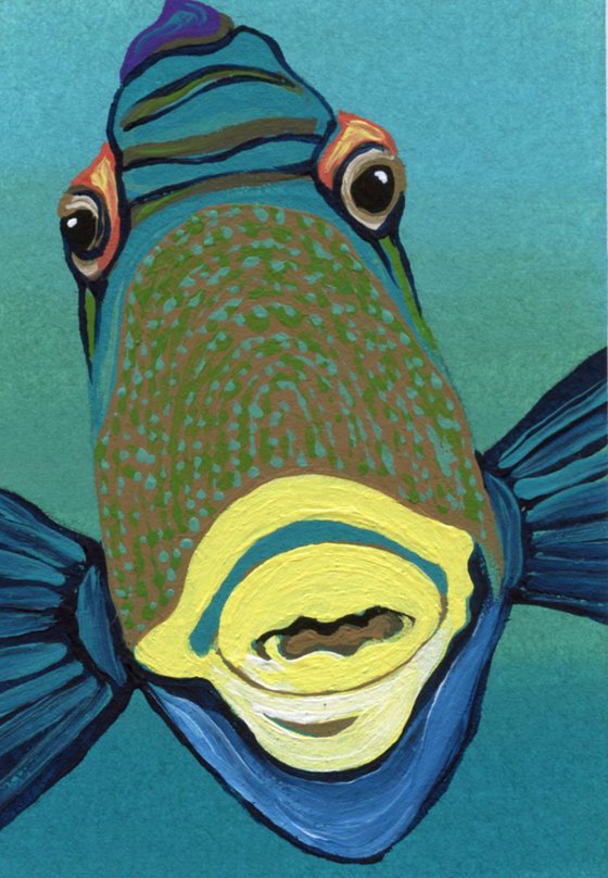 ACEO ATC Original Painting Wildlife Trigger Fish Ocean Art-Carla Smale