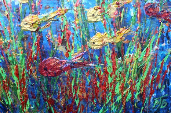 Blue Reef II