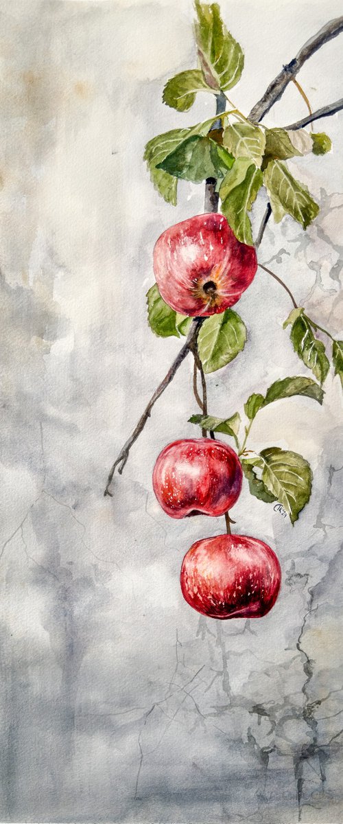 Whispers Through the Wall – Red Apple Branch by Irina Kurganskaya