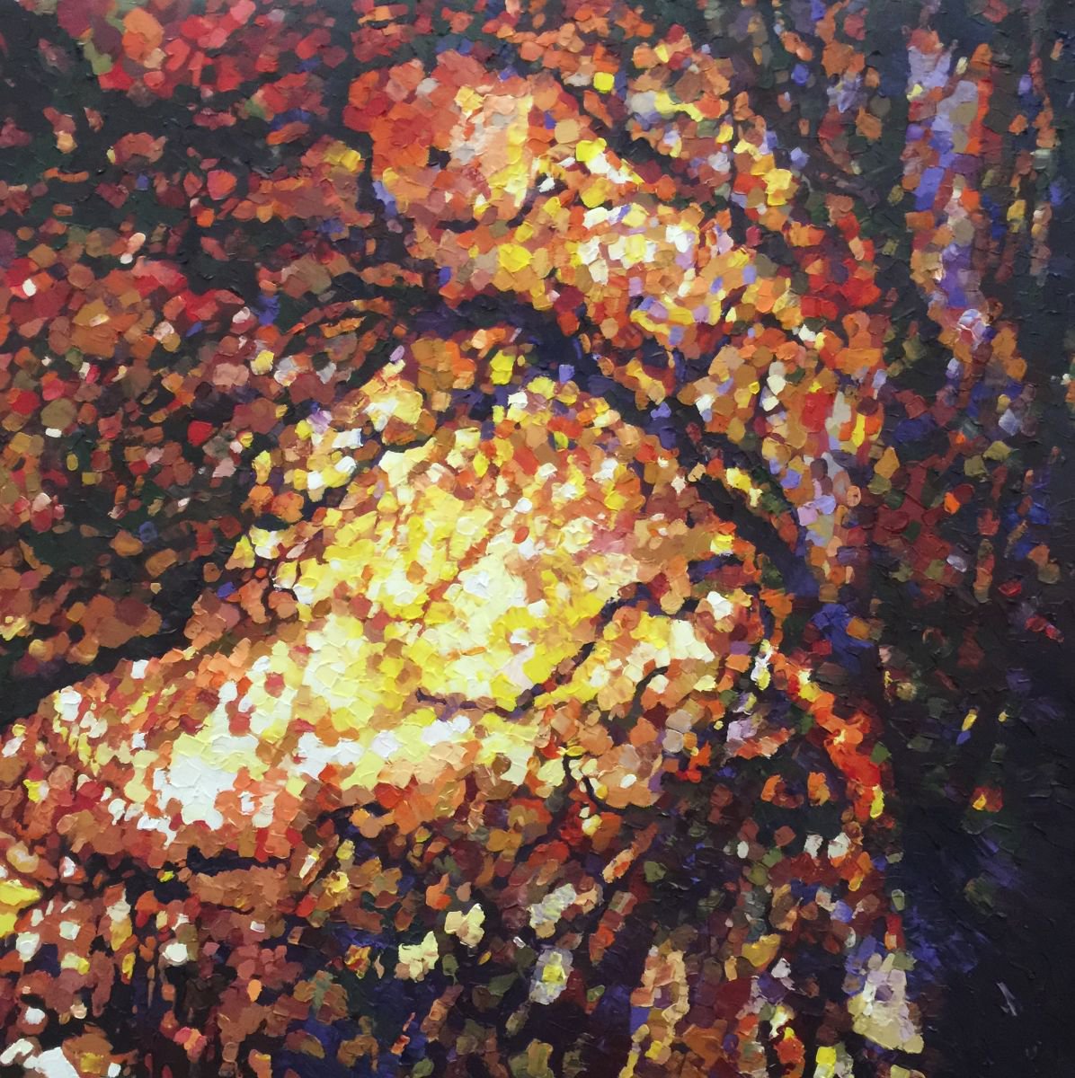 oak tree sunset by Paul Williams