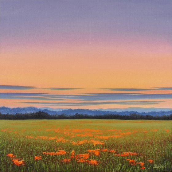 Flower Field Sunset - Vibrant Colorful Landscape