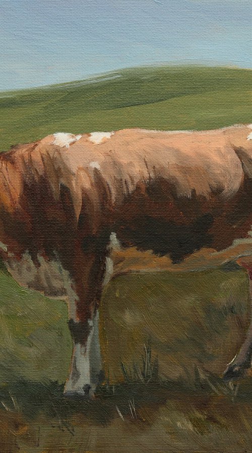 Swiss Fleckvieh Cow by Tom Clay