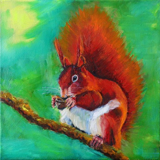 Red Squirrel