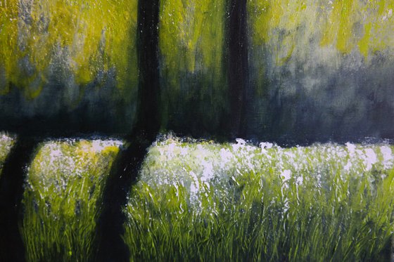 Cherry  Trees