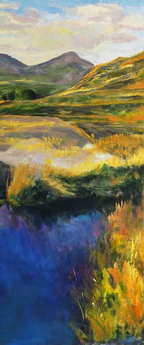 View From The Tarn by Philippa Headley