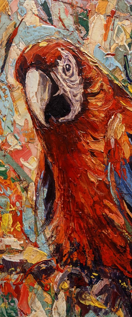 Ara parrot by Movses Petrosyan