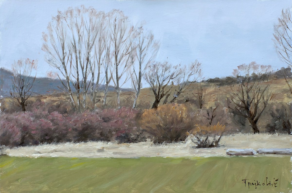 Impressionistic Landscape Oil Painting By Dejan Trajkovic, 12 X 8, Shire, Original Artwork