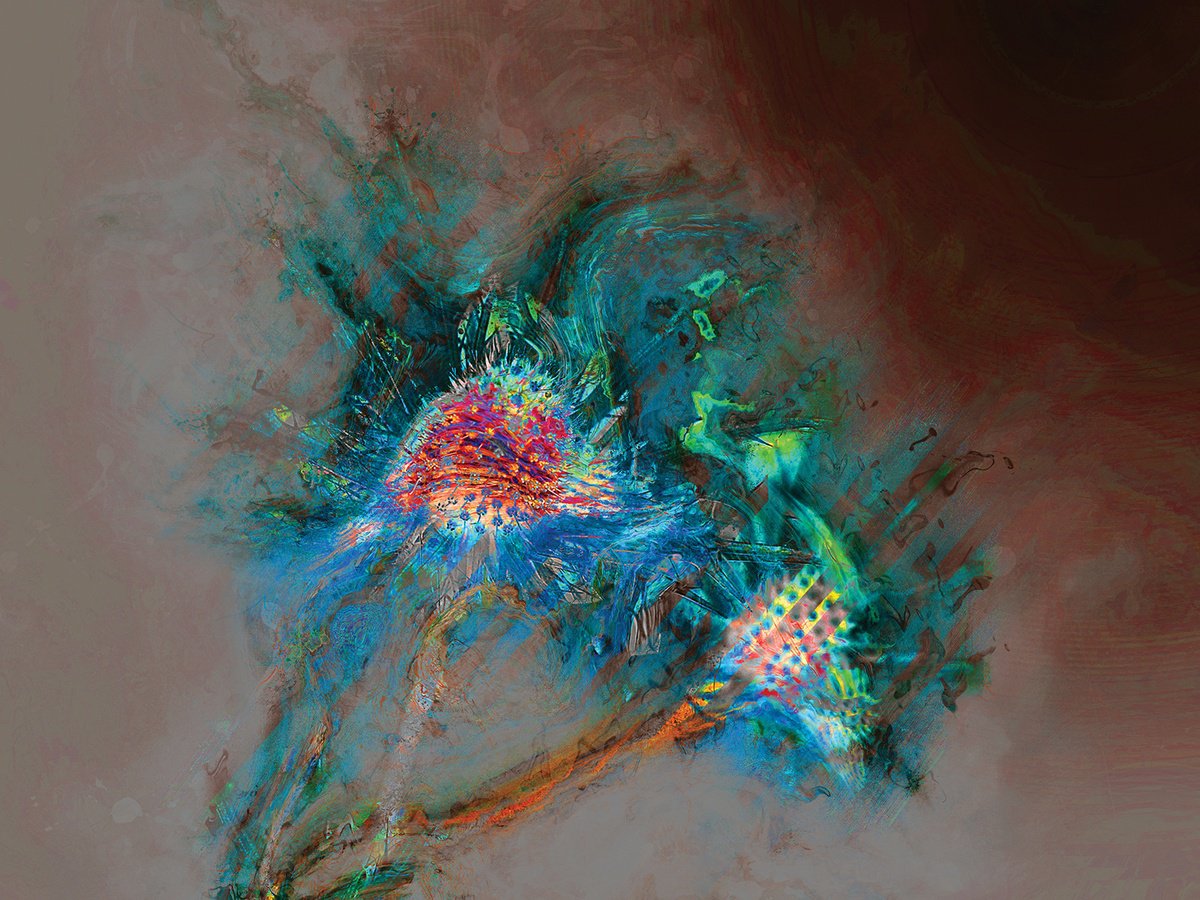 Abstract Botanical Print By Javier Diaz, 80 X 60, Secretos 5, Original Artwork