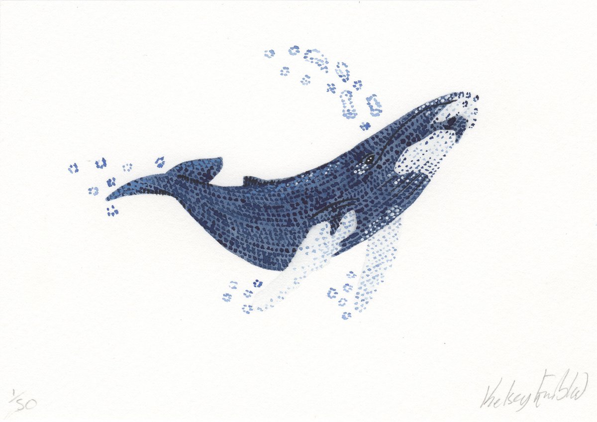 Mini Original Orca Watercolour 4.1 x 5.8 inch by Kelsey Emblow