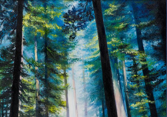 "Mysterious forest"  forest landscape summer  liGHt original painting  GIFT (2015)