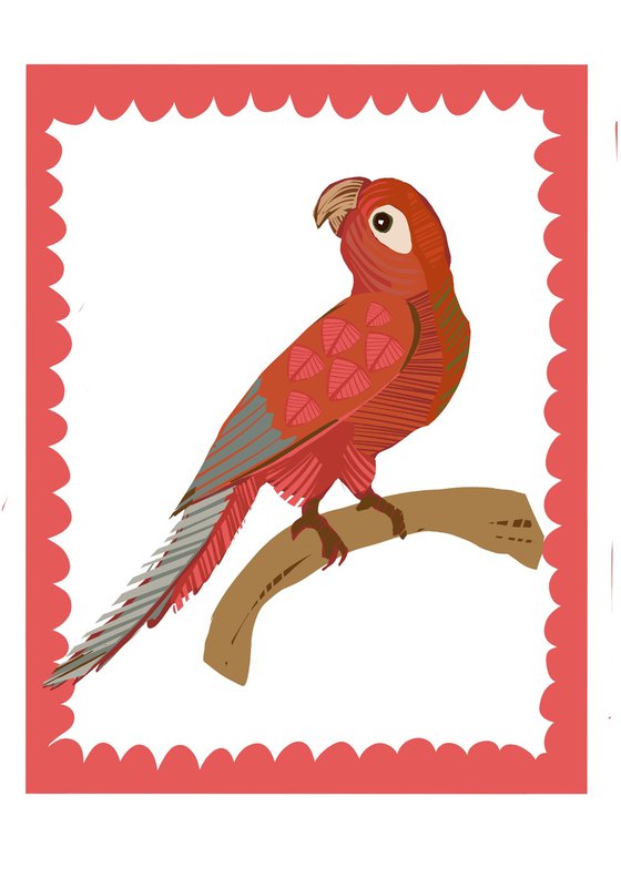 PINK PARROT
