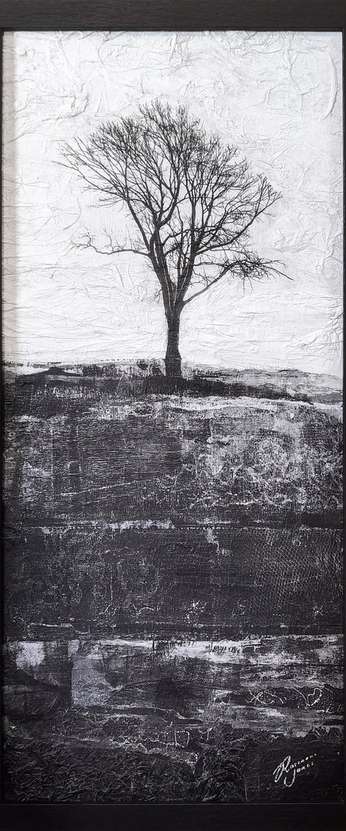 Enlightened by Roseanne Jones