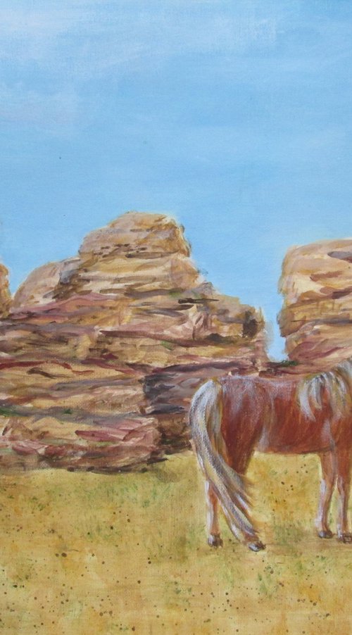 Wild Dartmoor Pony and Tor by MARJANSART