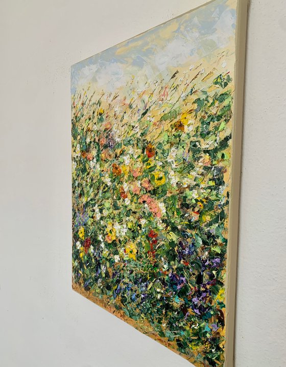 Blooming meadow in summer