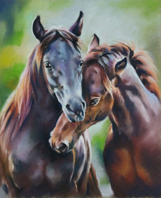 Horses