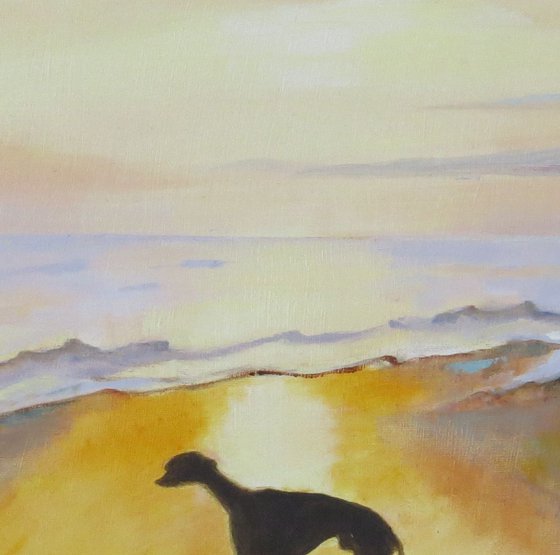 Whippet at Sunset. Pet Portrait.