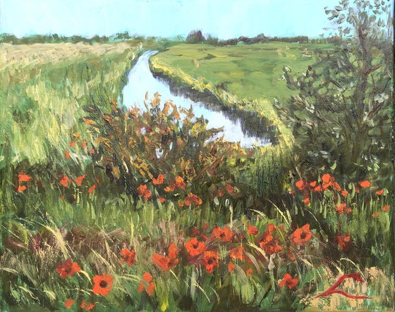 Landscape with poppies 5
