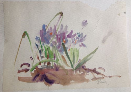 First flowers. Сrocuses. #2 by Irina Bibik-Chkolian