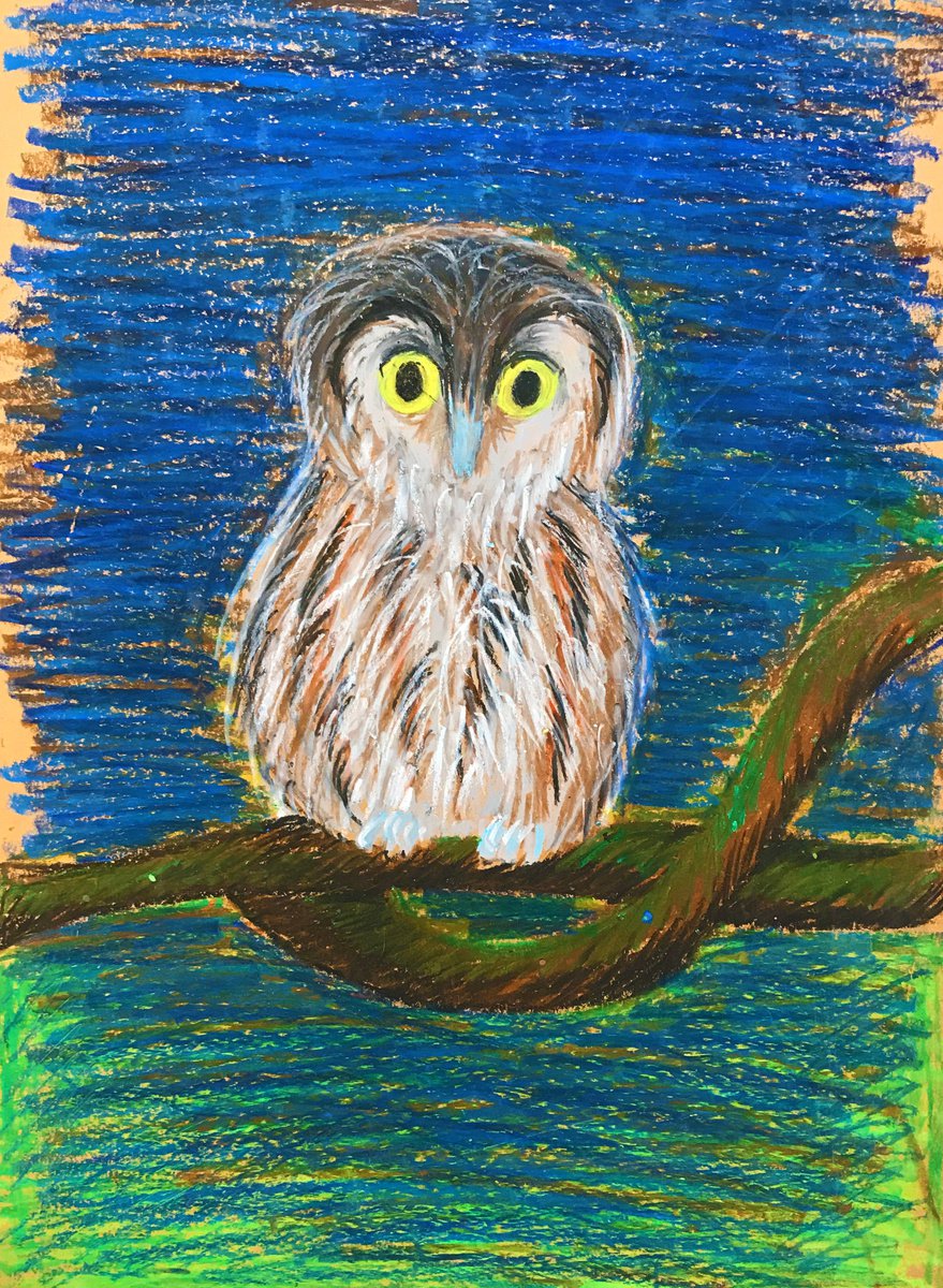 Expressive Animal Pastel Drawing By Anastasia Terskih, 8 X 12, Owl, Original Artwork