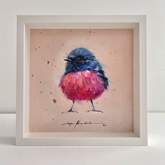 The robin bird. Cute pink and fluffy bird.