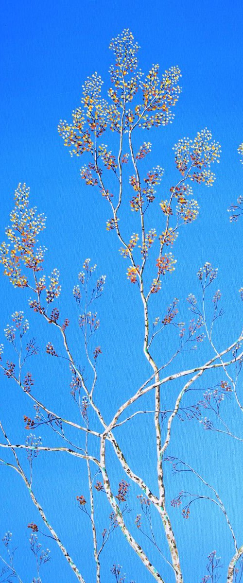 Silver Birch in Autumn by Ruth Cowell