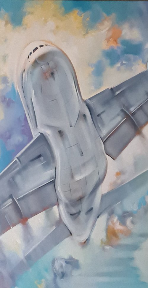 ,,The girl and the plane,, by VADIM KOVALEV