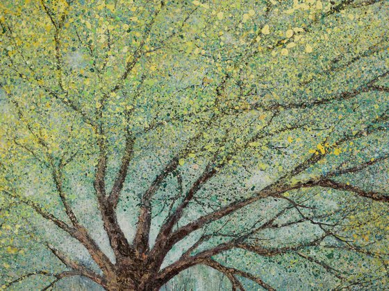 SPRINGTIME ON THE OLD OAK PATH