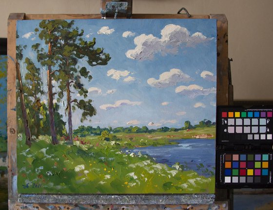 Pines on the Korozhechna River