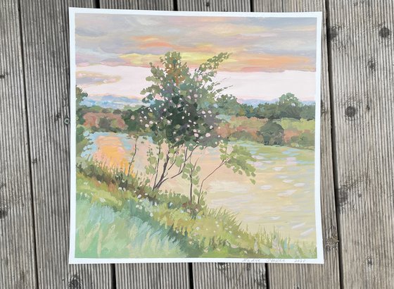 Blooming tree along the channel du Midi