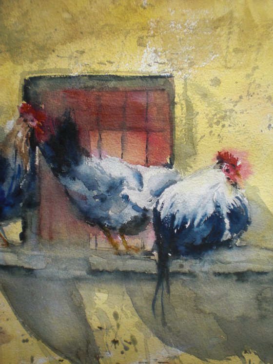 rooster and hens 2