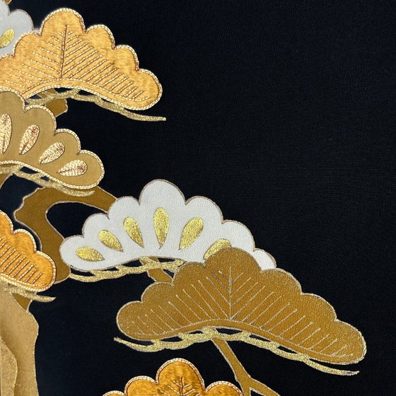 Pines through Seasons