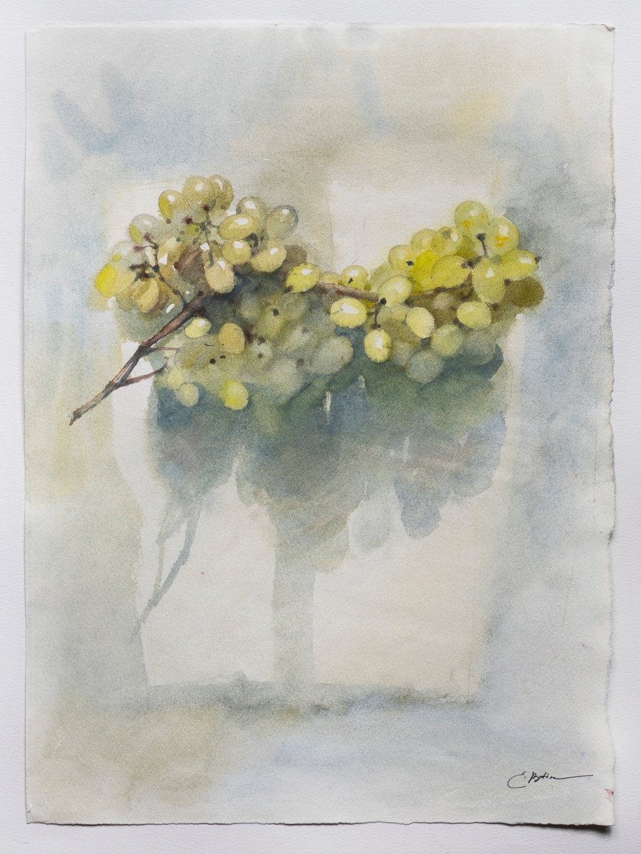 Grapes by Ekaterina Pytina