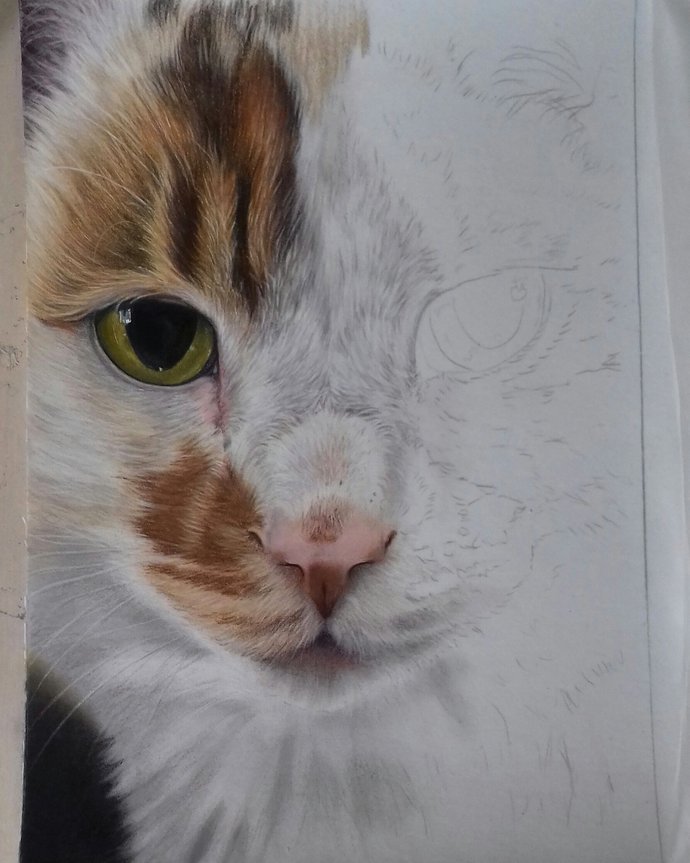Silvia Frei Latest From Artist Studio Artfinder