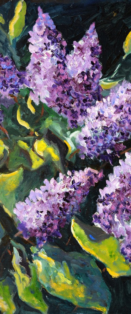 Lilac  -5623 by Pol Henry Ledent