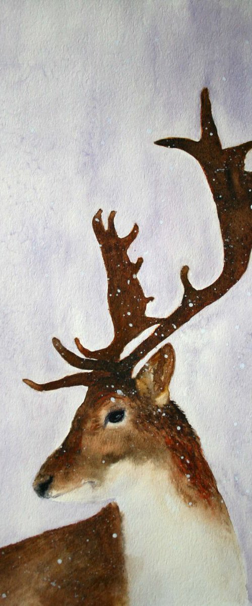 Deer 2 / Original Painting by Salana Art / Svetlana Samovarova